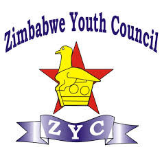 Jubilation as Govt announces new Zimbabwe Youth Council board